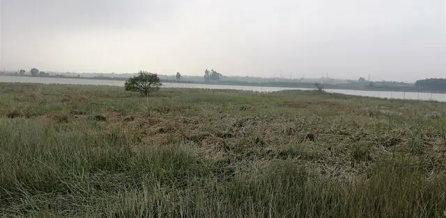 Chương 24: Thủy thần 2