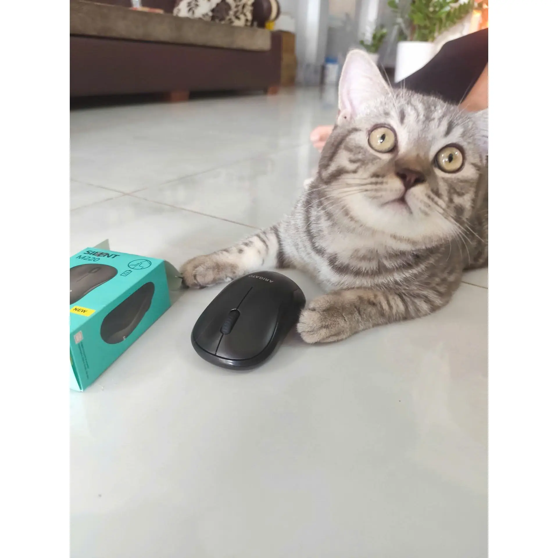 Chương 34