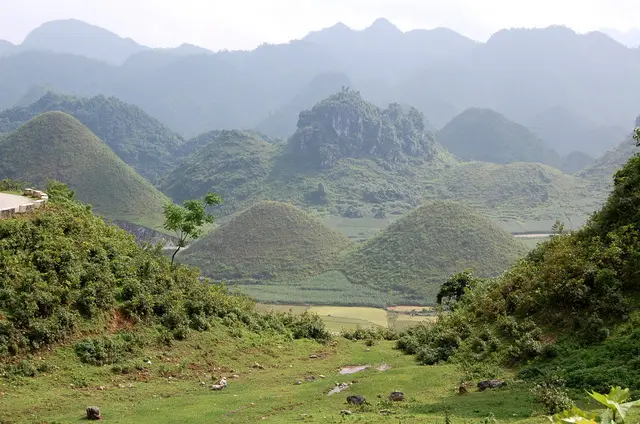 Lên Núi Cấm Săn Rắn Hổ Mây - William