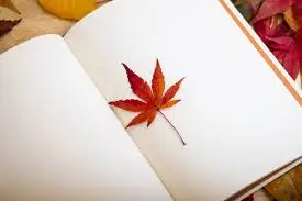 Nhật ký đời tôi